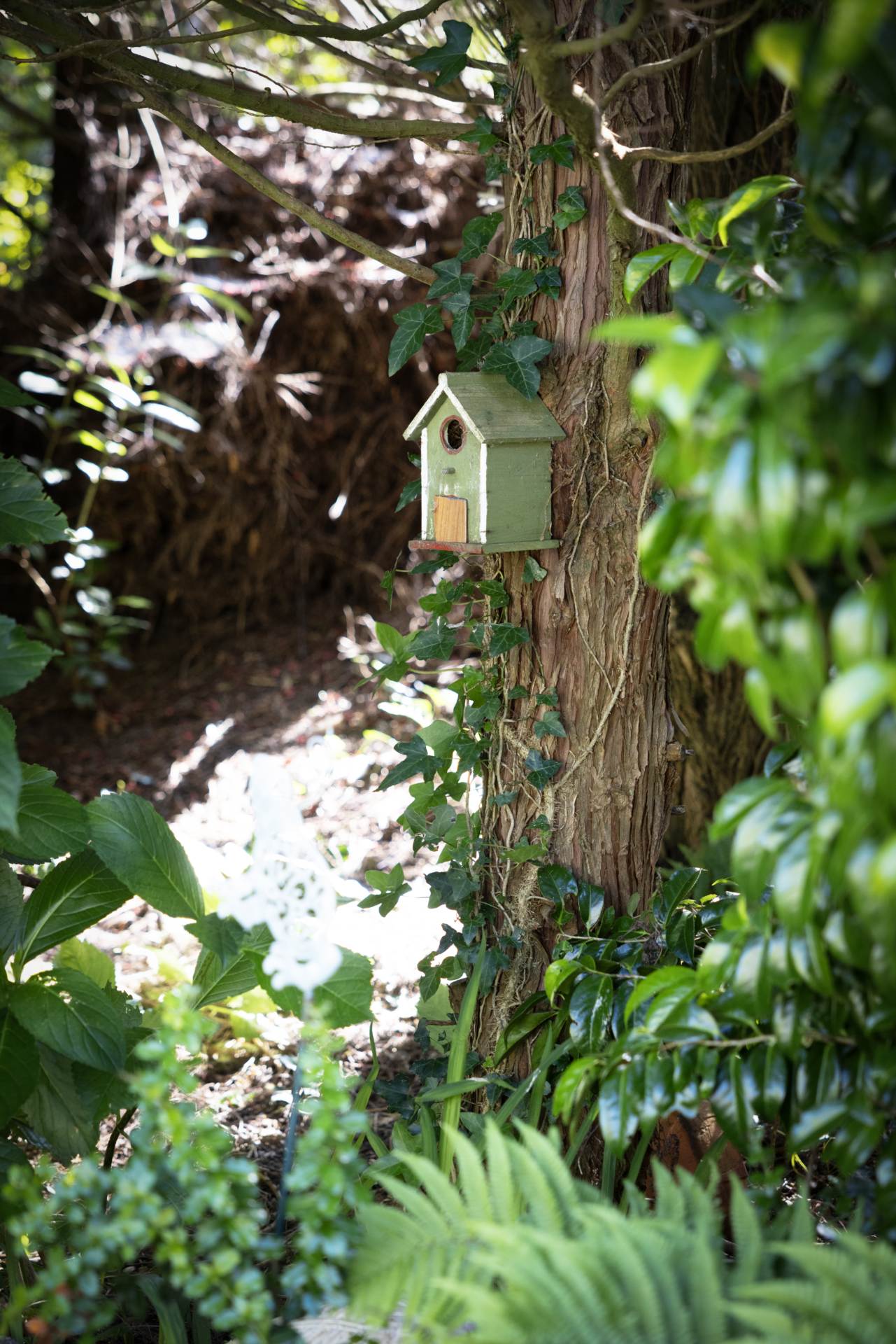 Glaslacken, Bunclody, Y21 KD30