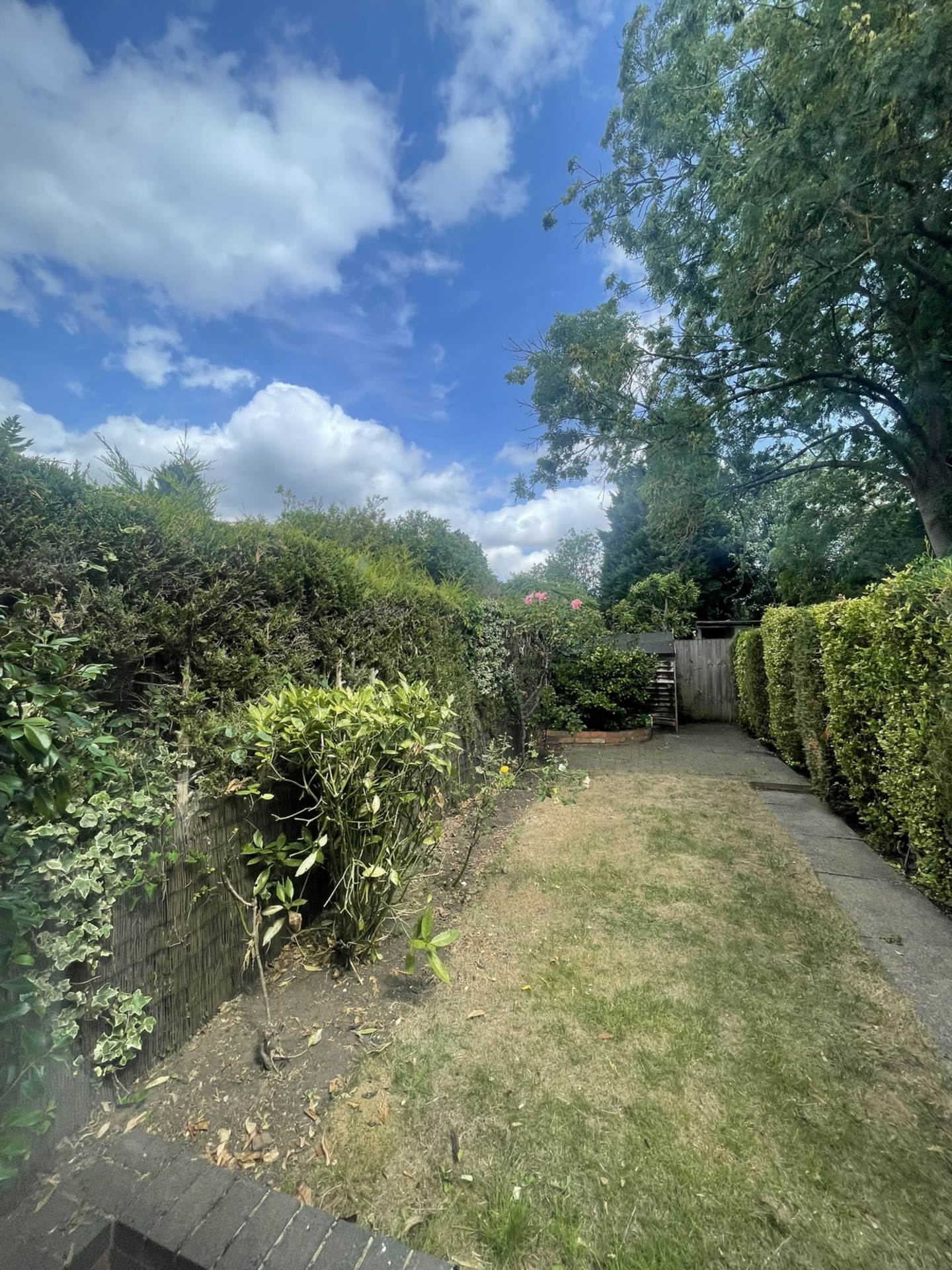 Lime Grove, Wylde Green, Image 20
