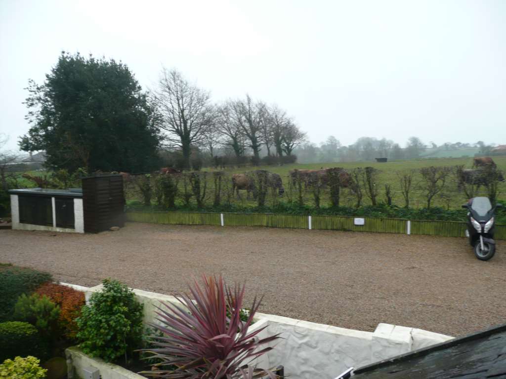 Near Hougue Bie, rural St Saviour, Image 27