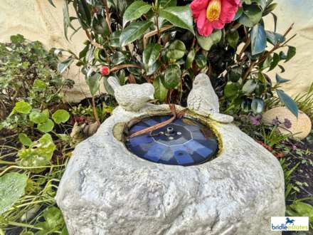 Holly Lodge, St Saviour, Image 29