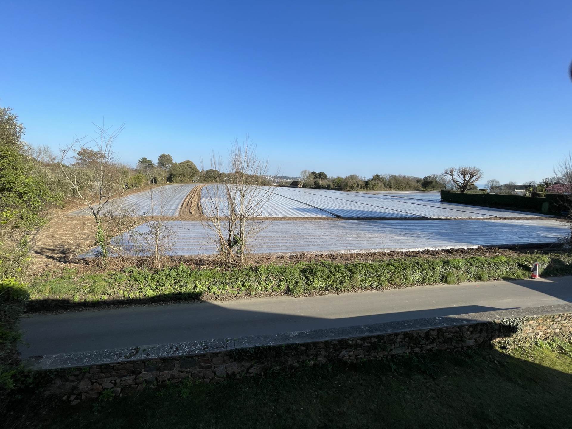 La Rue Des Lauriers, St Peter, Image 48