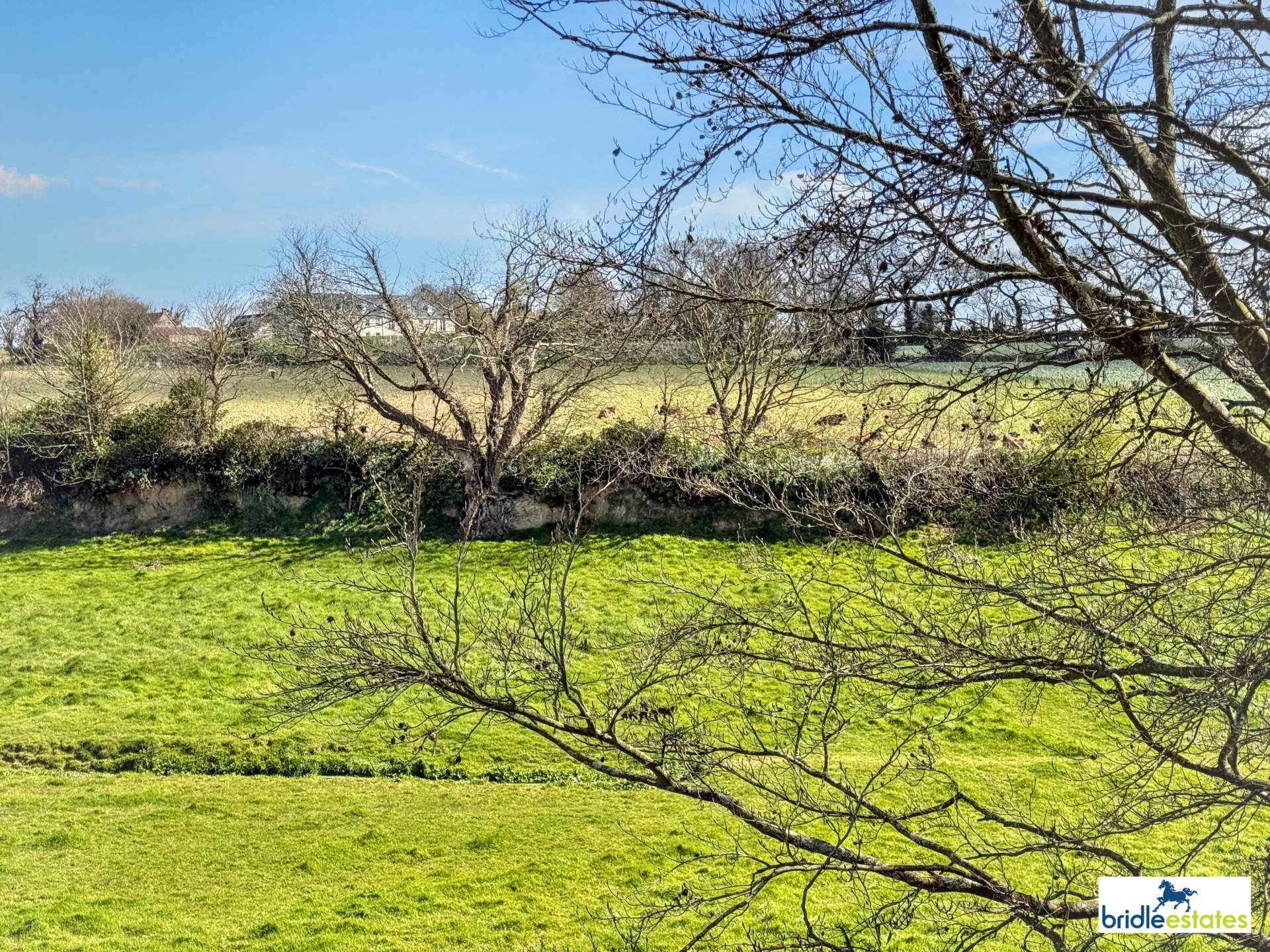 Princess Tower Road, St Saviour, Image 22