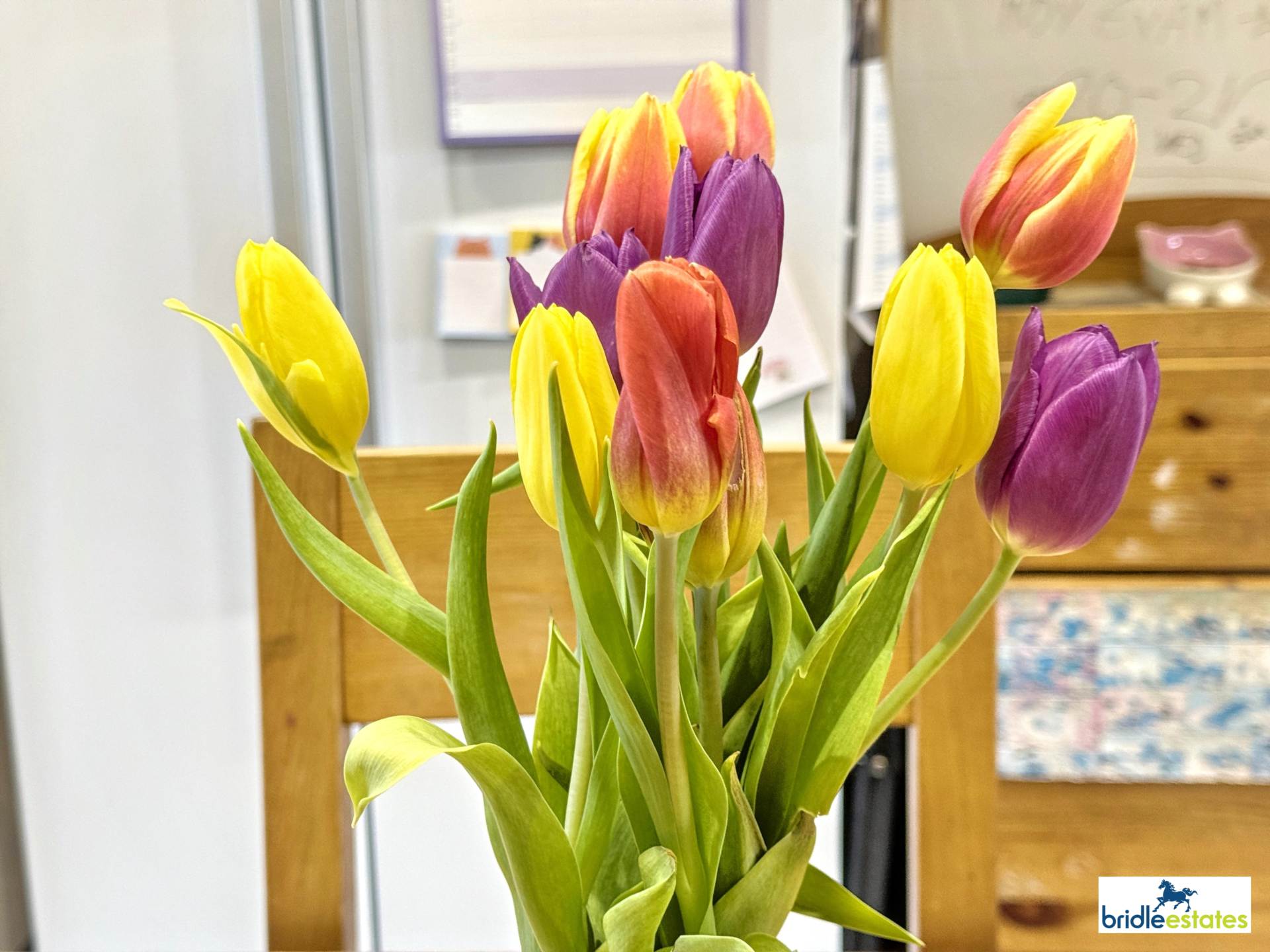 La Rue Des Landes, St Peter, Image 12