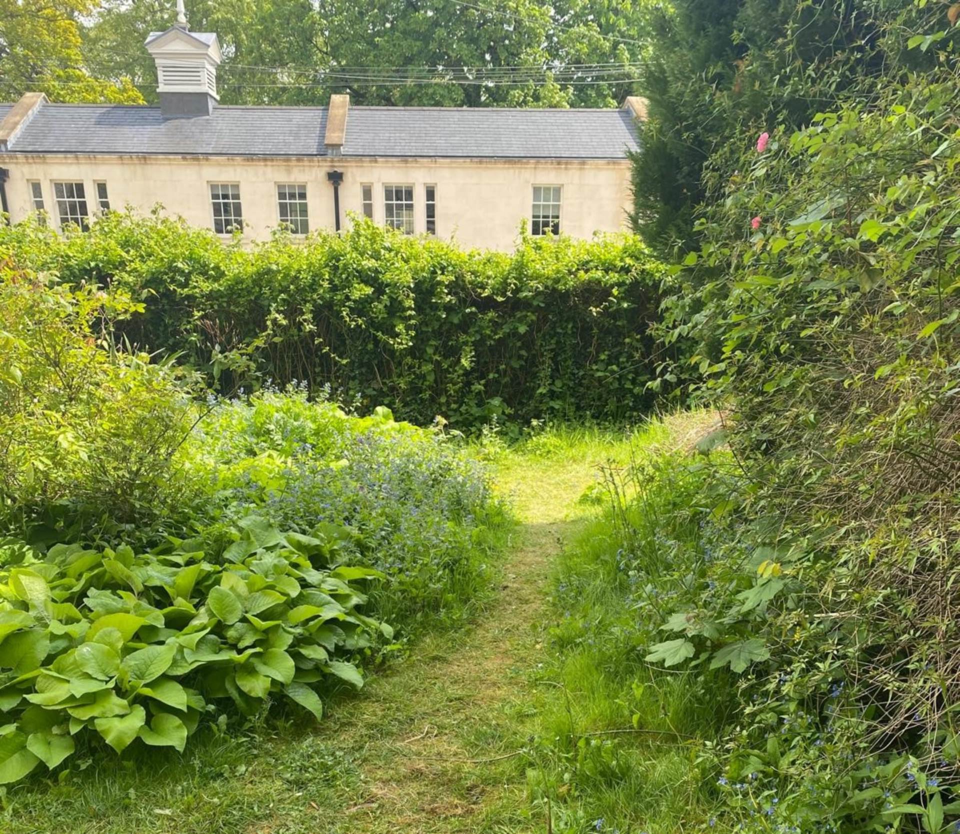 Henrietta Street, Bath, Image 15