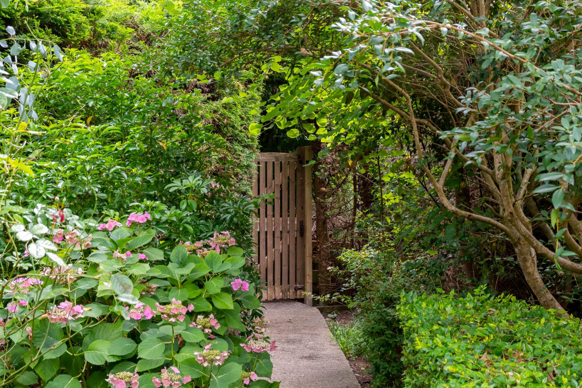 St Johns Road, Bathwick, Image 42