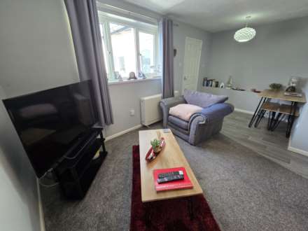 Kingsley Park, Westward Ho, Image 3