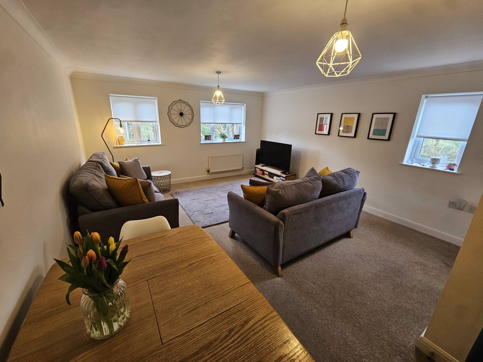 Harlseywood, Bideford, Image 2