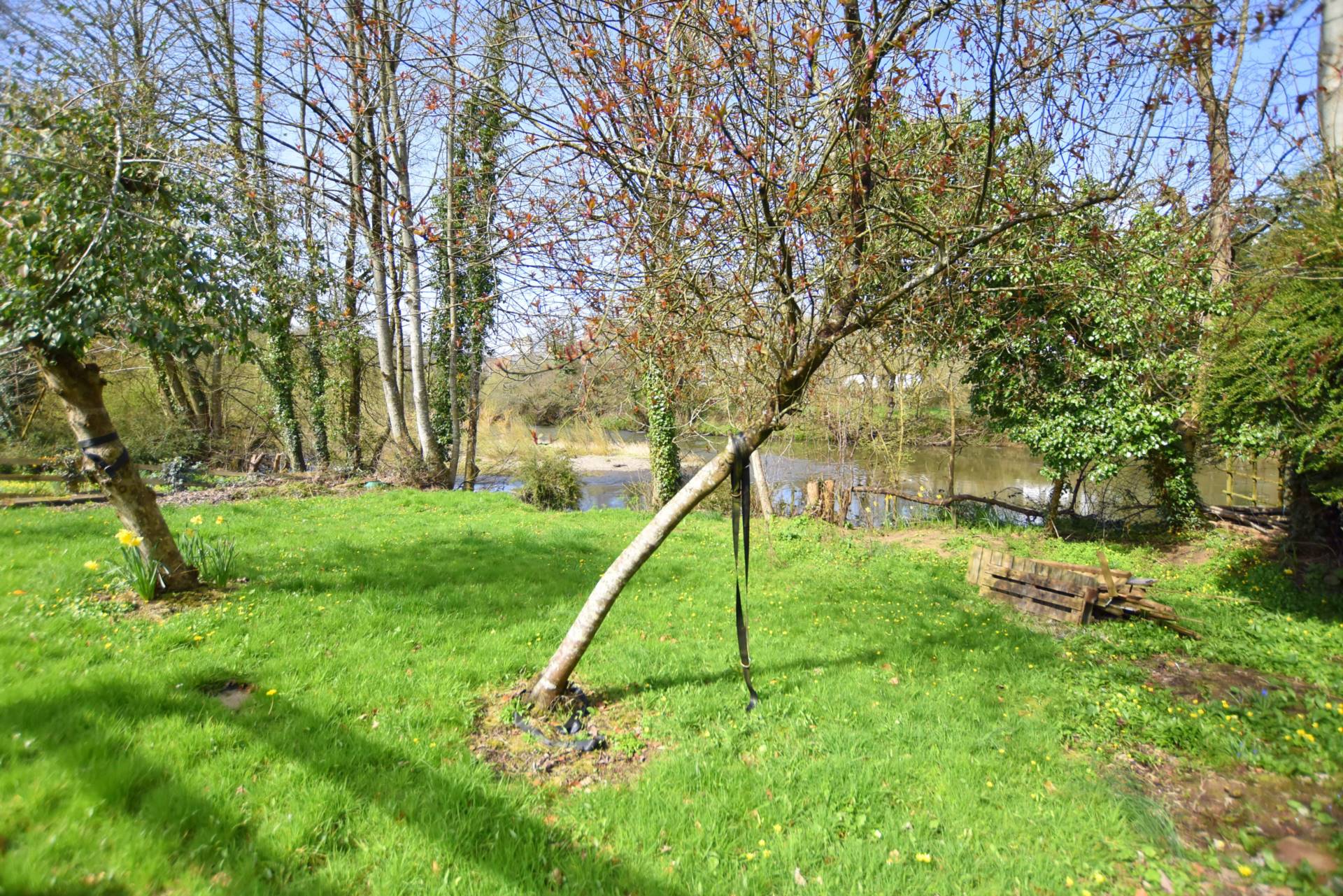 Taddiport, Torrington, Image 12