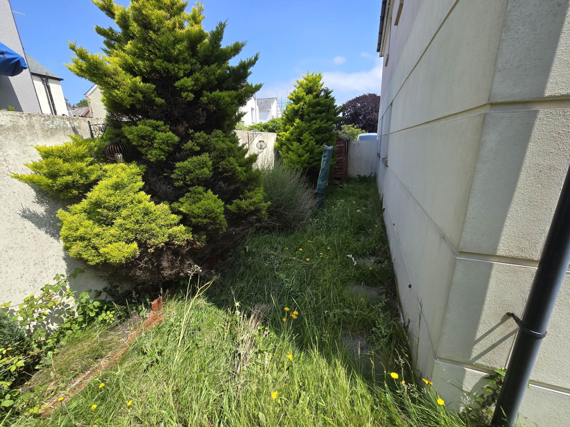 Union Close, Bideford, Image 9