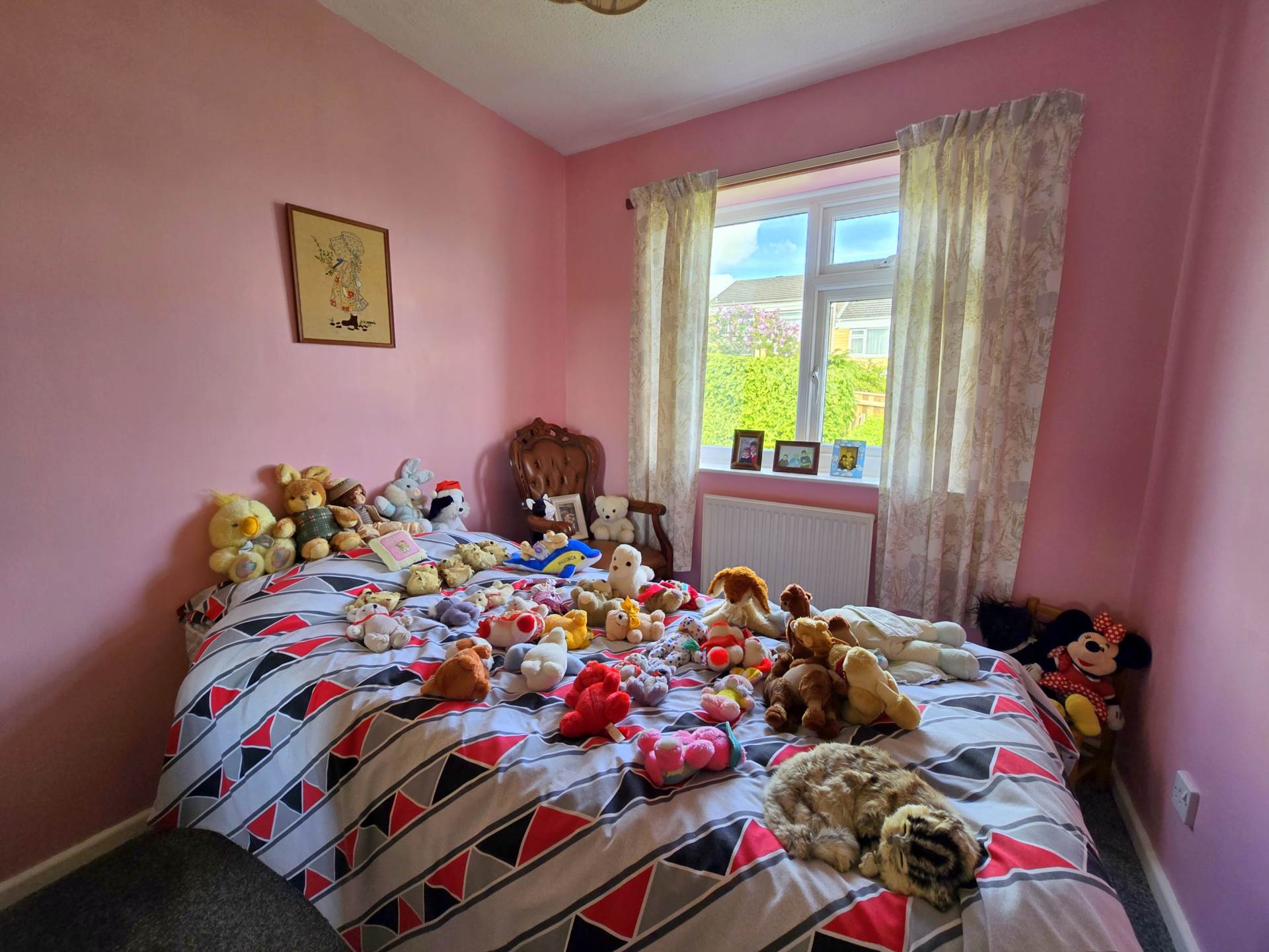 Devonshire Park, Bideford, Image 12