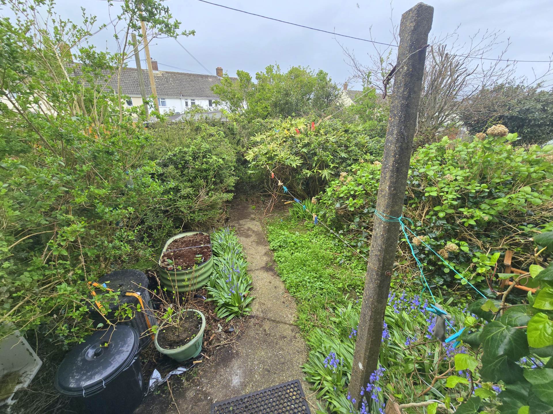 High View, Bideford, Image 10