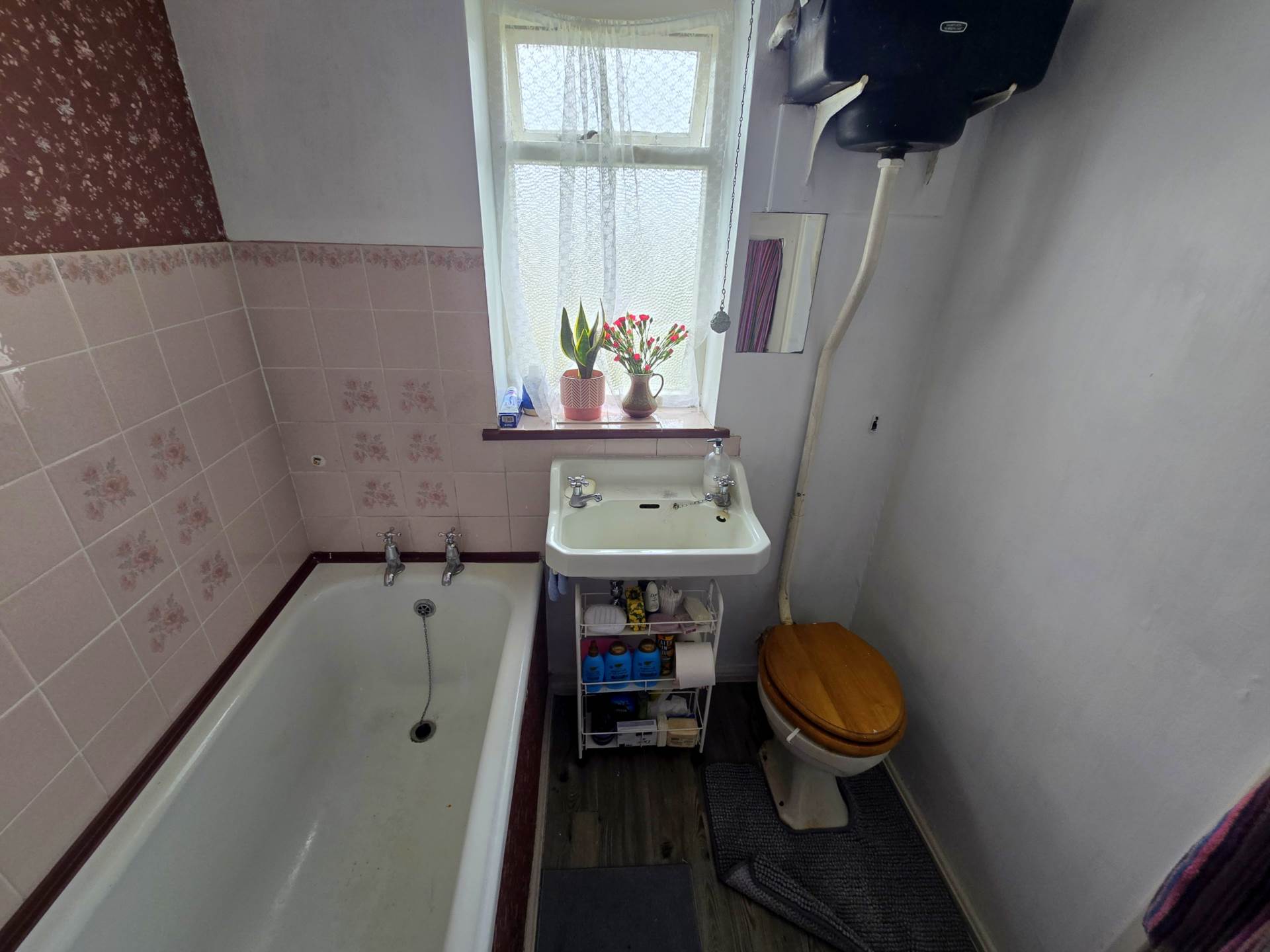High View, Bideford, Image 9