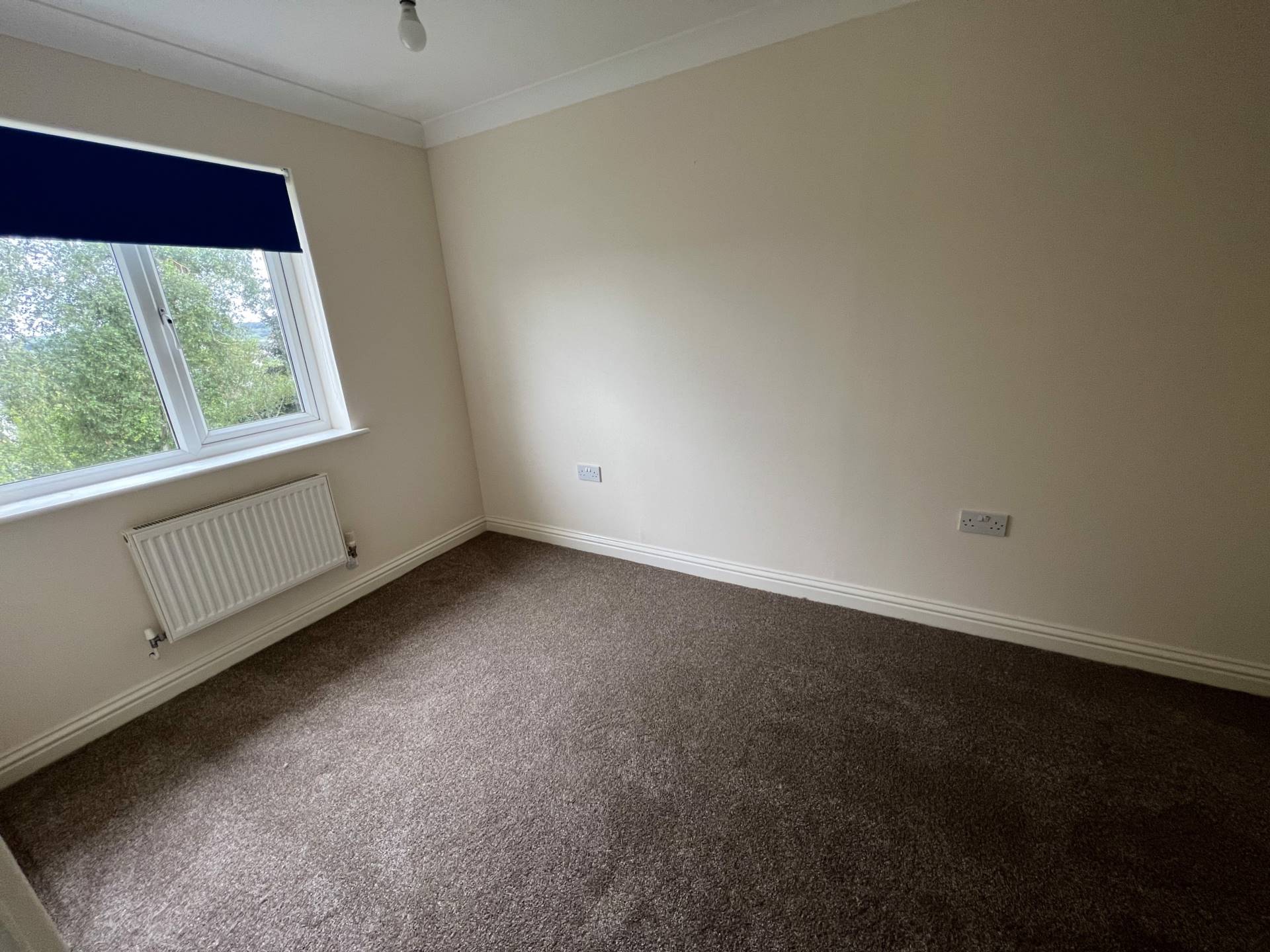 East Ridge View, Bideford, Image 5