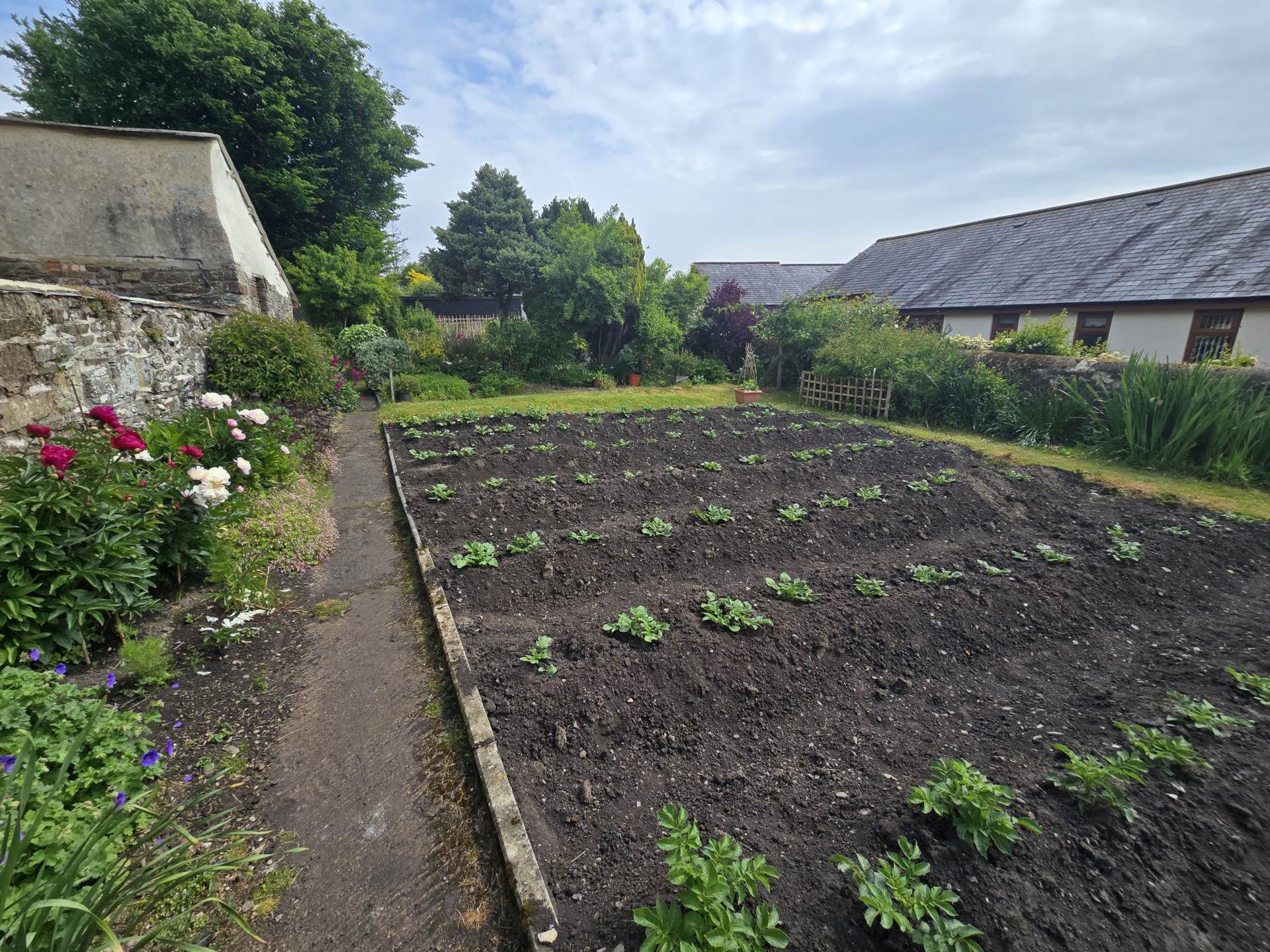 Rectory Road, Dolton, Image 14