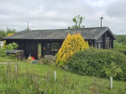 Hartland Forest, Bideford, Image 1