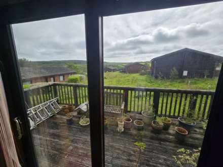Hartland Forest, Bideford, Image 11