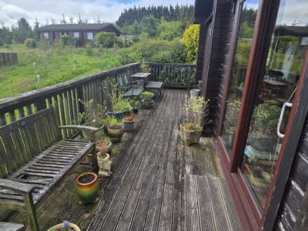 Hartland Forest, Bideford, Image 12