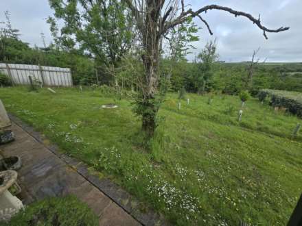 Hartland Forest, Bideford, Image 14
