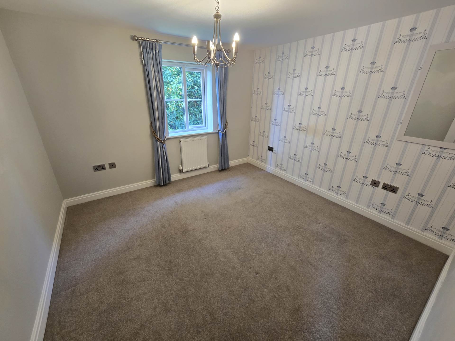 York Rise, Bideford, Image 8