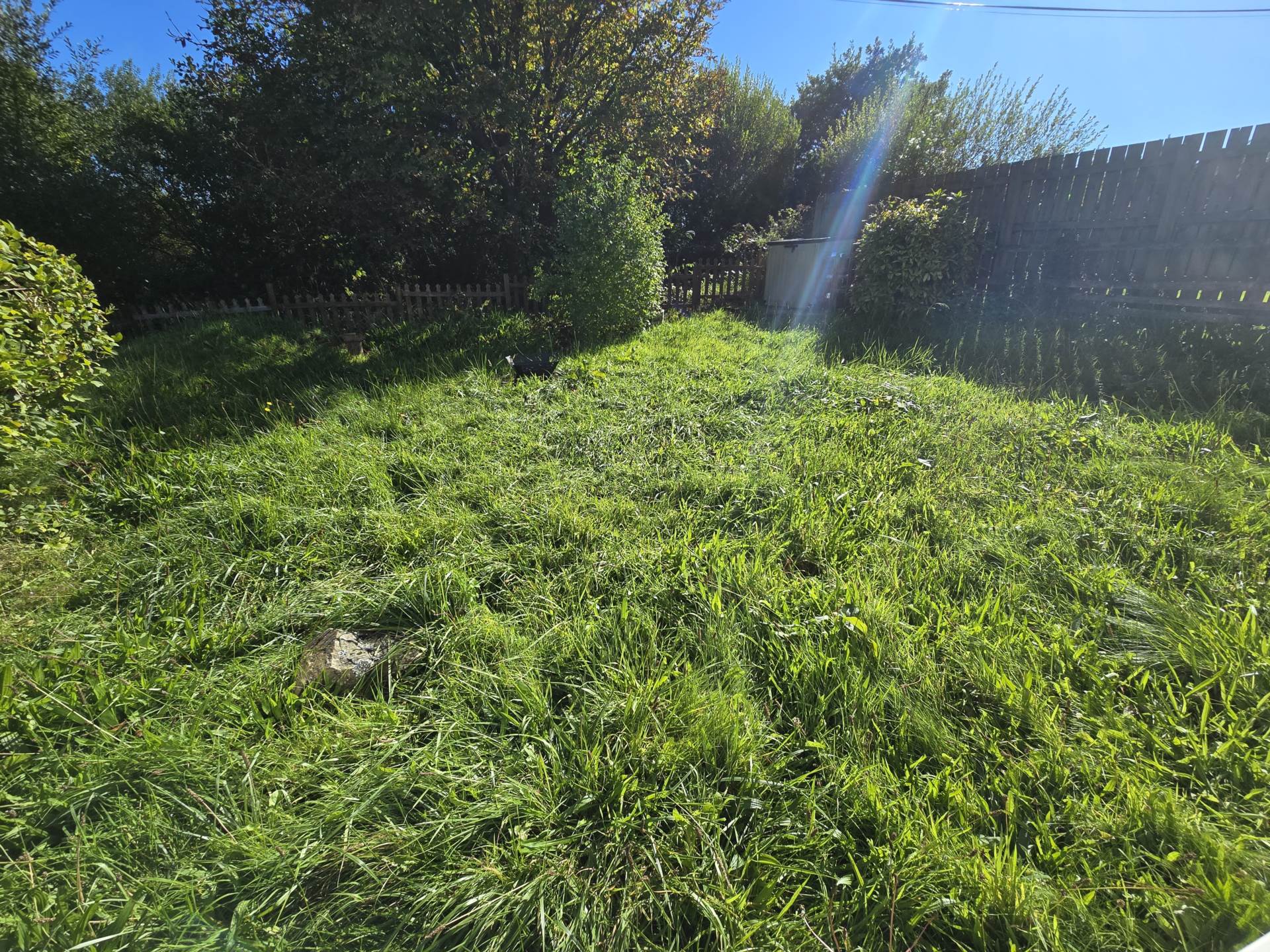 Hartland Forest, Bideford, Image 10