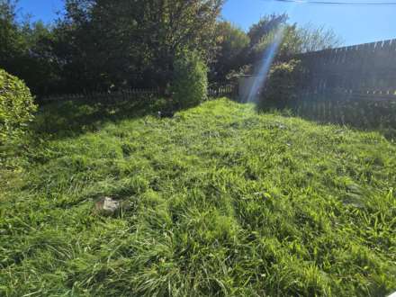 Hartland Forest, Bideford, Image 10
