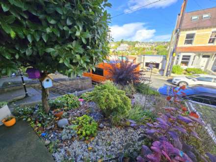 Elm Grove, Bideford, Image 17