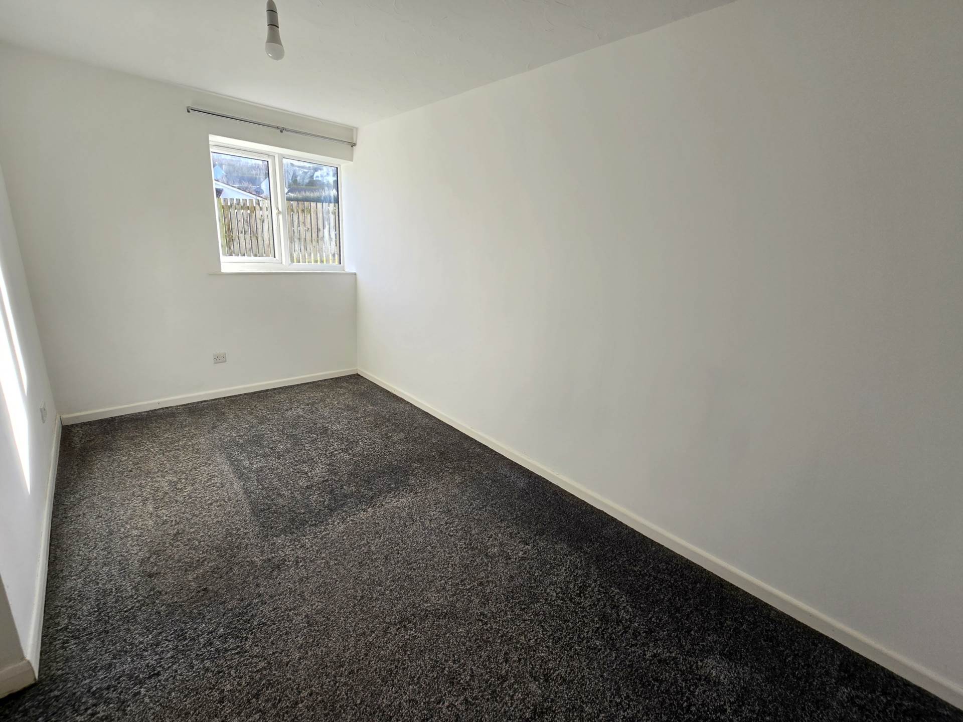 Kala Fair, Westward Ho!, Image 5