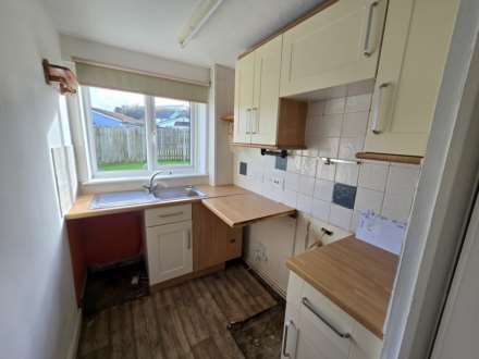 Kala Fair, Westward Ho!, Image 4