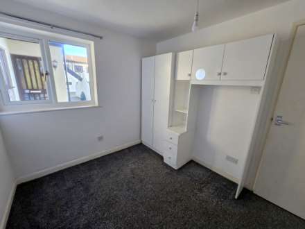 Kala Fair, Westward Ho!, Image 6