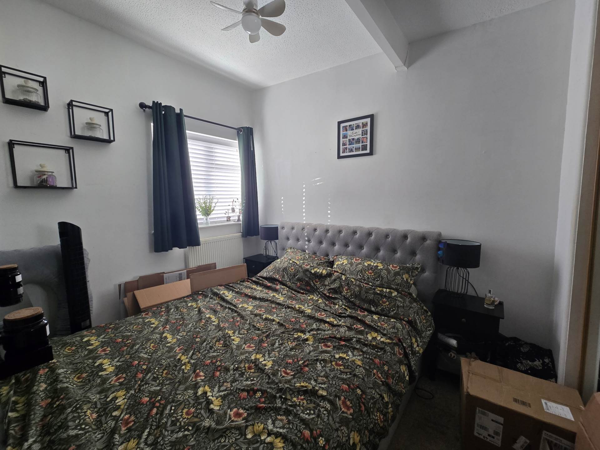 Kala Fair, Westward Ho!, Image 5