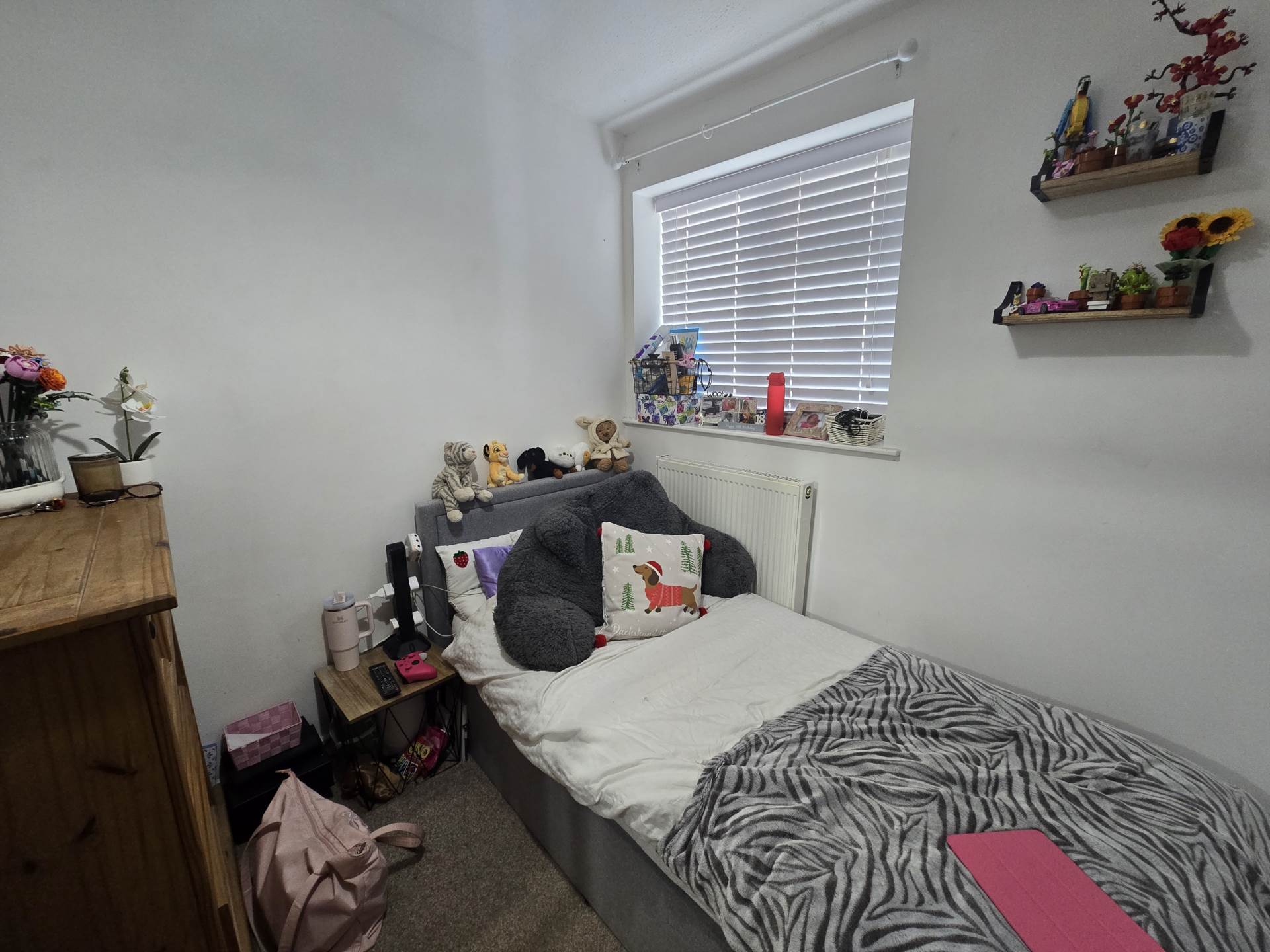 Kala Fair, Westward Ho!, Image 6