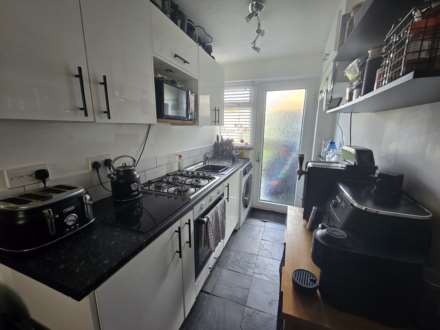 Kala Fair, Westward Ho!, Image 4