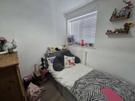 Kala Fair, Westward Ho!, Image 6