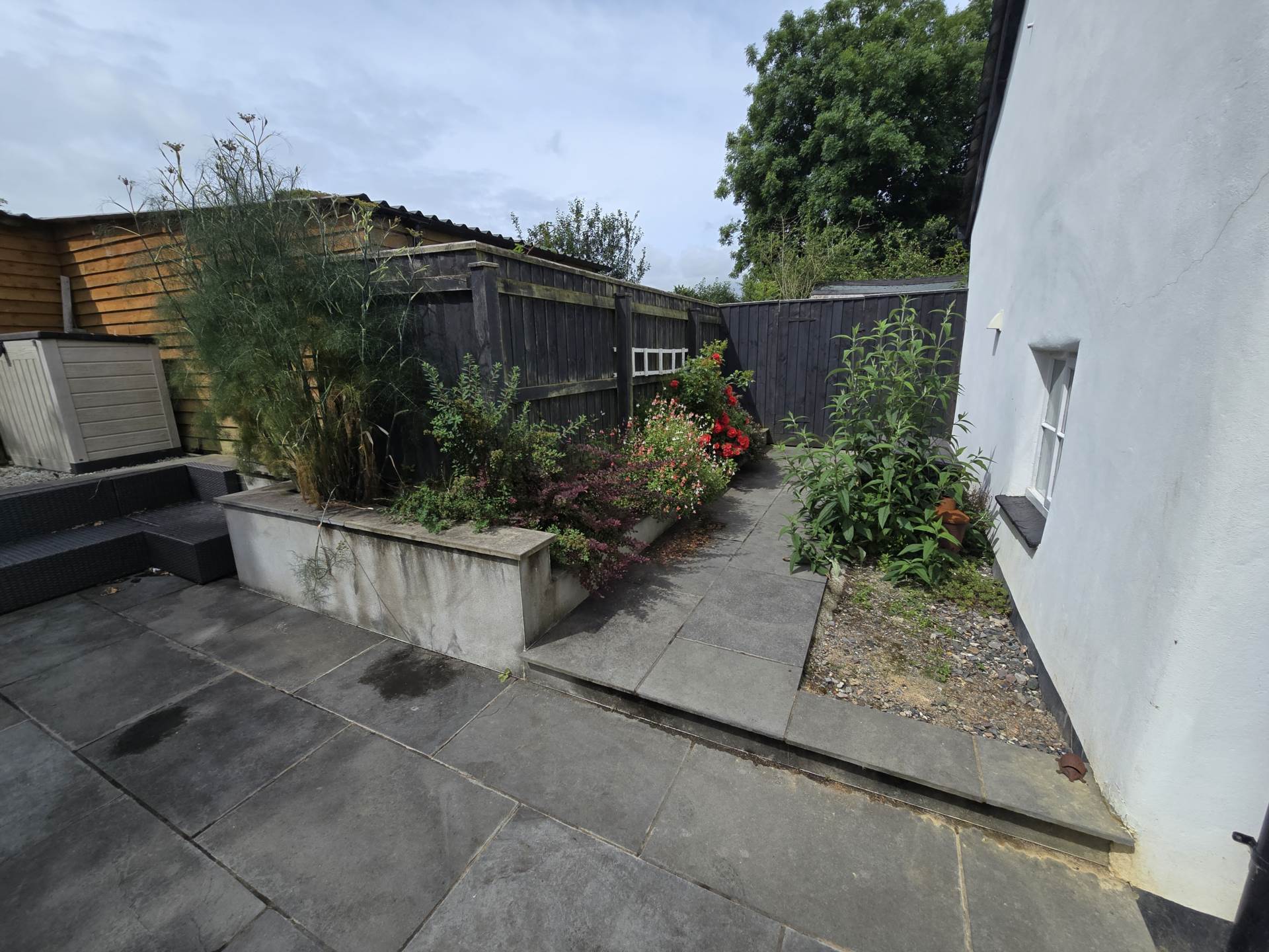 Clawton Holsworthy, Image 17