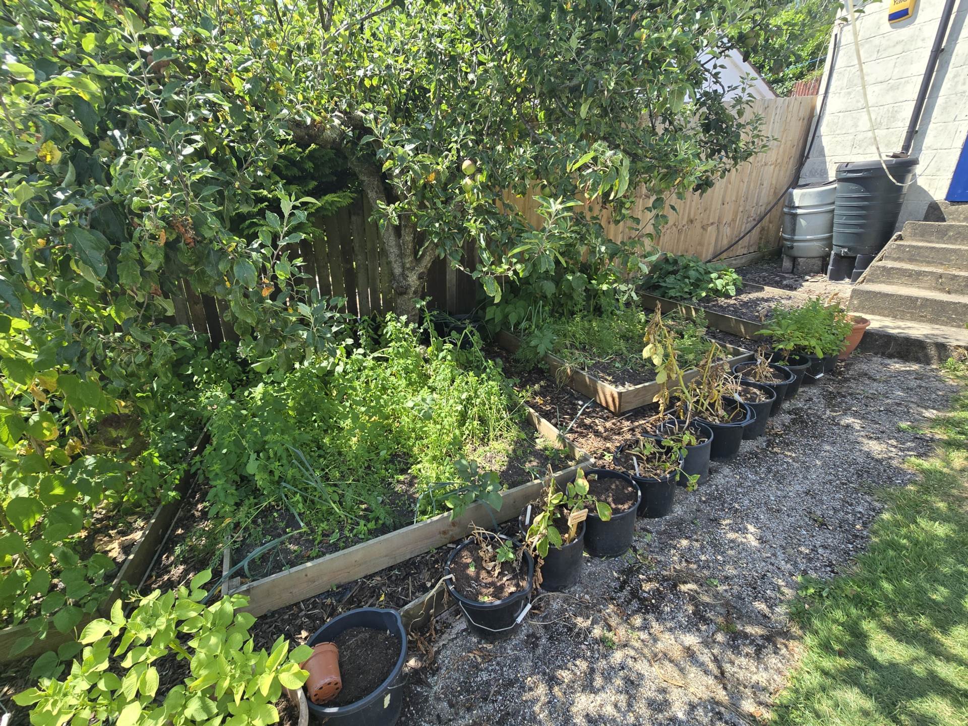Chanters Road, Northam, Image 21