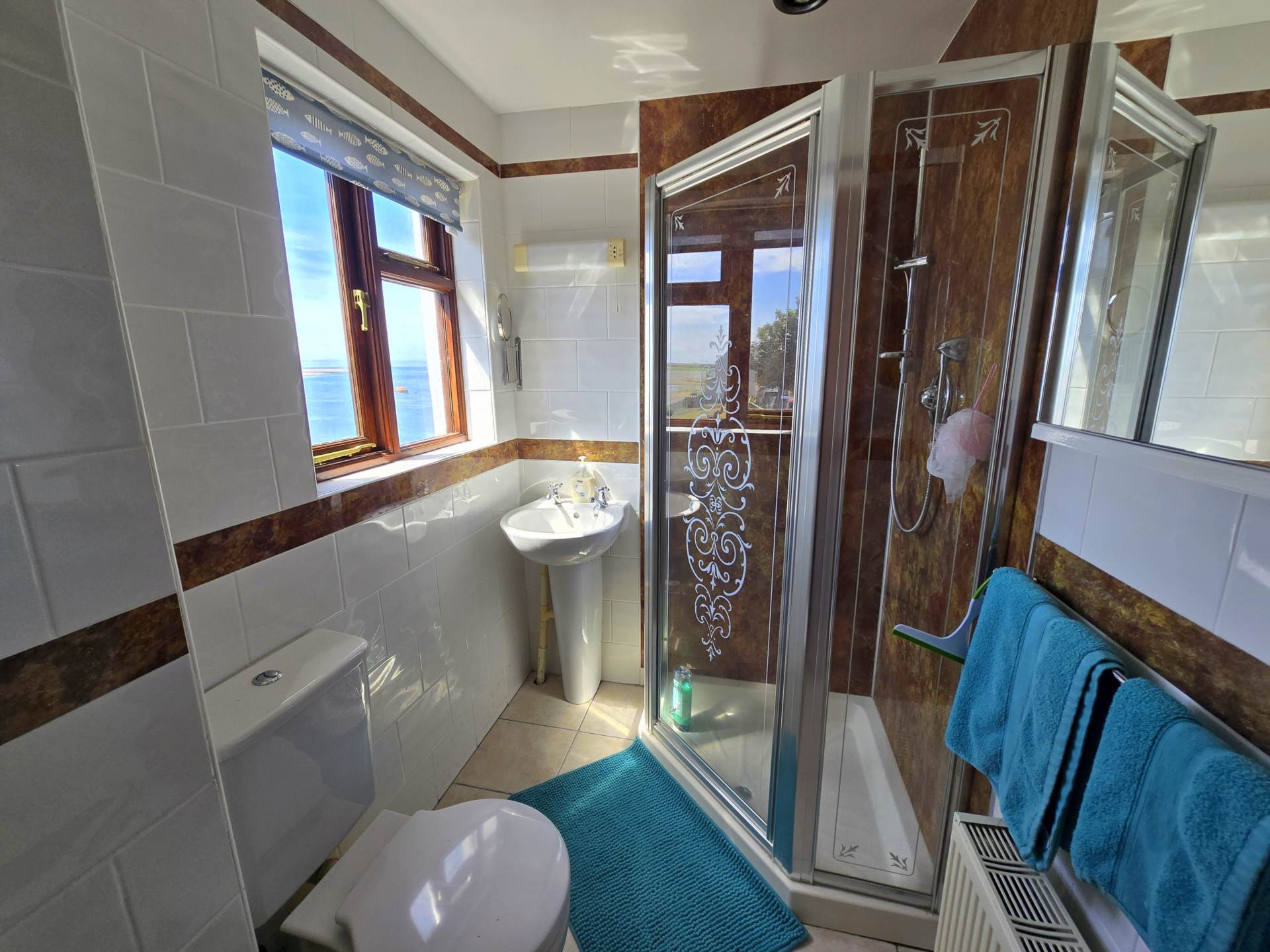Irsha Street, Bideford, Image 10