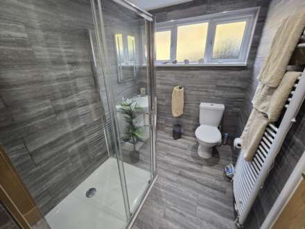 Silford Cross, Westward Ho, Image 11