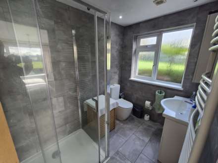 Silford Cross, Westward Ho, Image 8