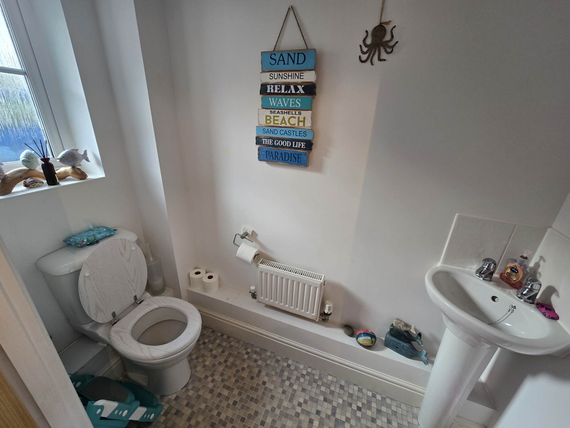 Donn Gardens, Bideford, Image 5