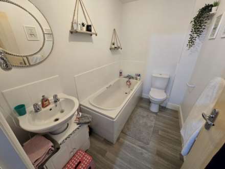 Donn Gardens, Bideford, Image 10