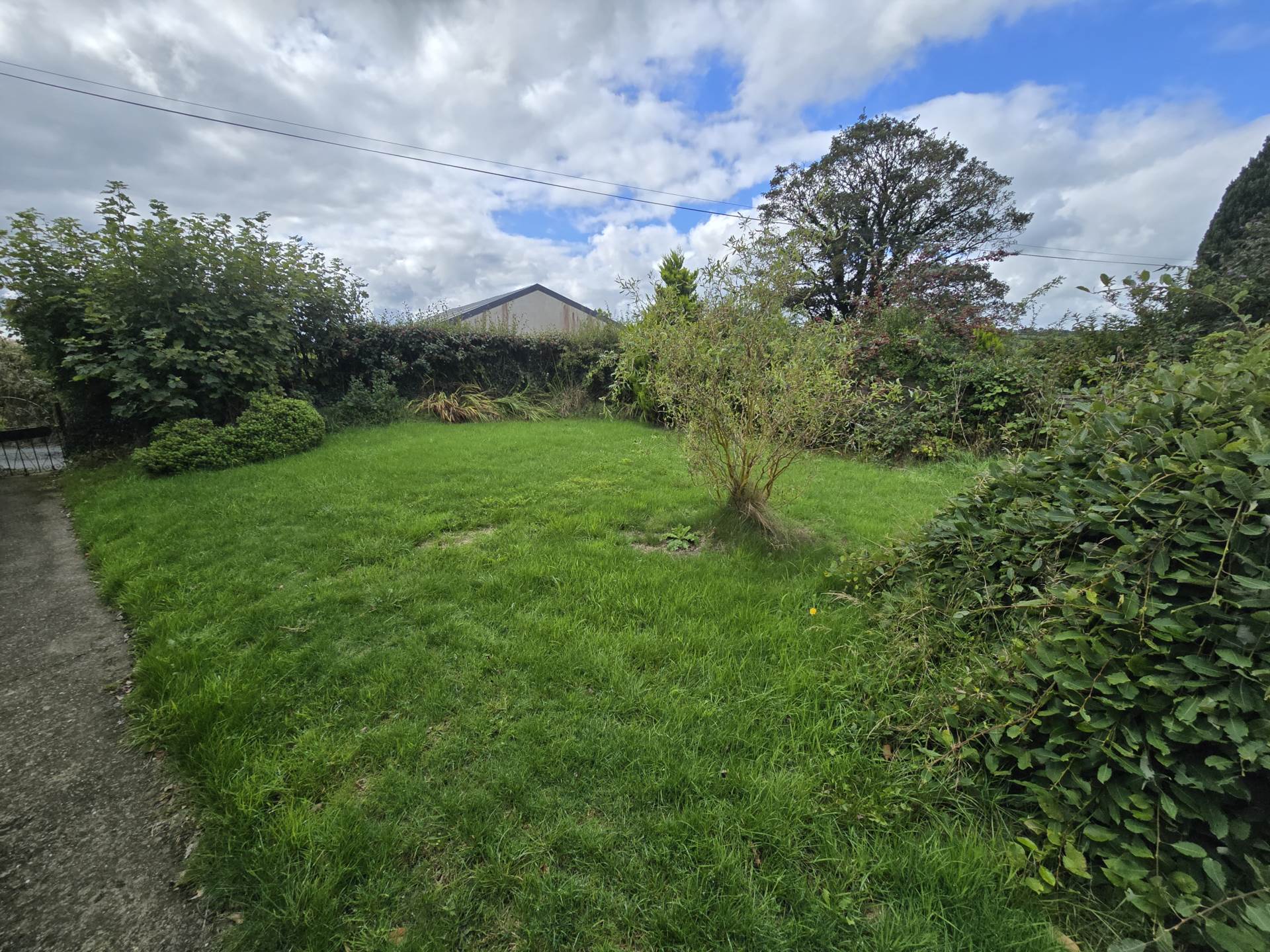 Newton St. Petrock, Image 11