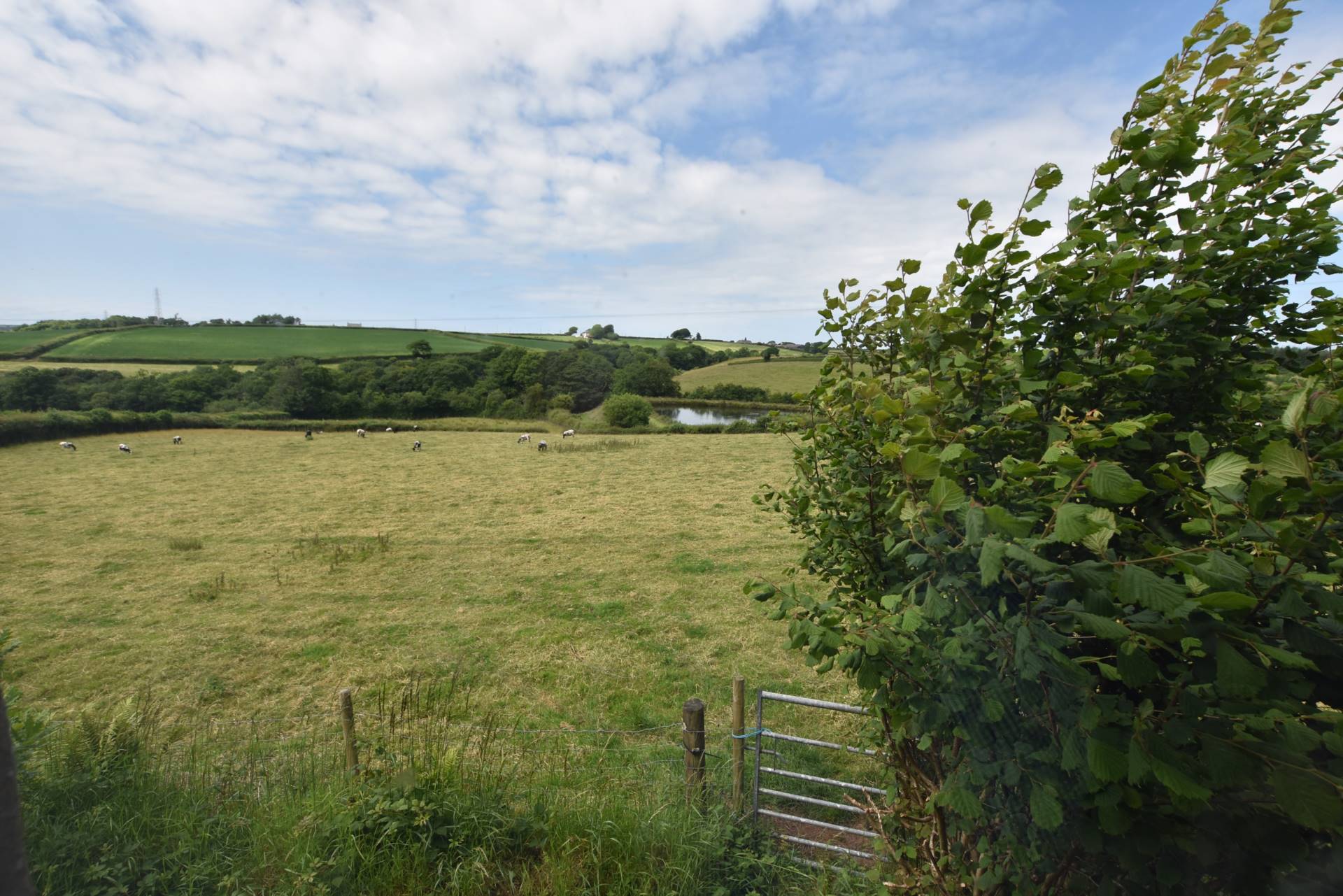 Newton St. Petrock, Image 13