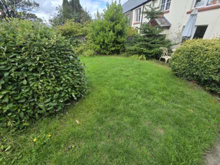 Newton St. Petrock, Image 12