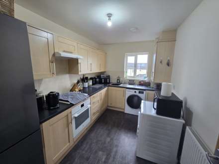 Donn Gardens, Bideford, Image 4