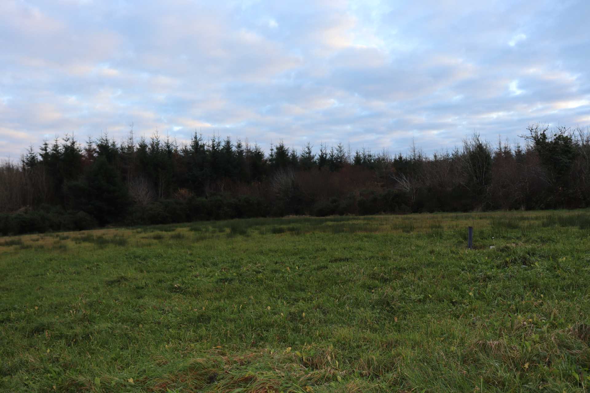 Cuckoos Dell, Williamstown, Co. Galway F45 WN24  Cuckoos Dell, Williamstown, Co. Galway F45 WN24