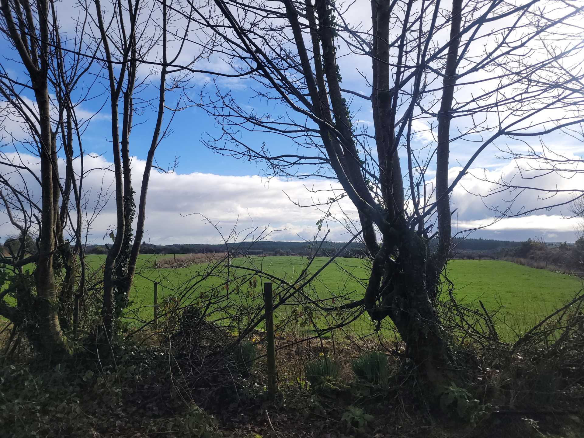 Taghnoose, Carrowbehy, Castlerea, Co. Roscommon F45 NP93