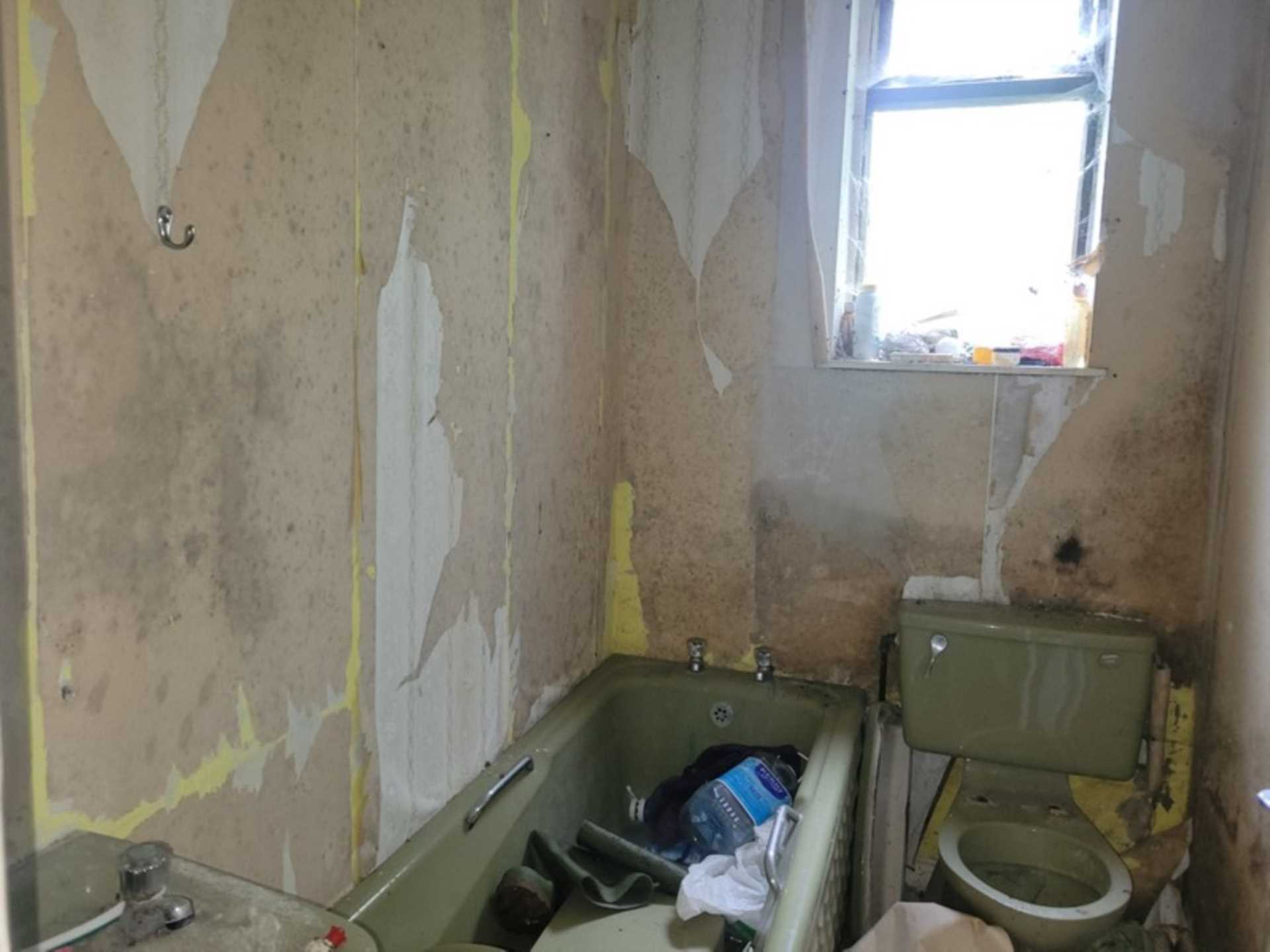 Palmyra, Knockroe, Castlerea, Co. Roscommon