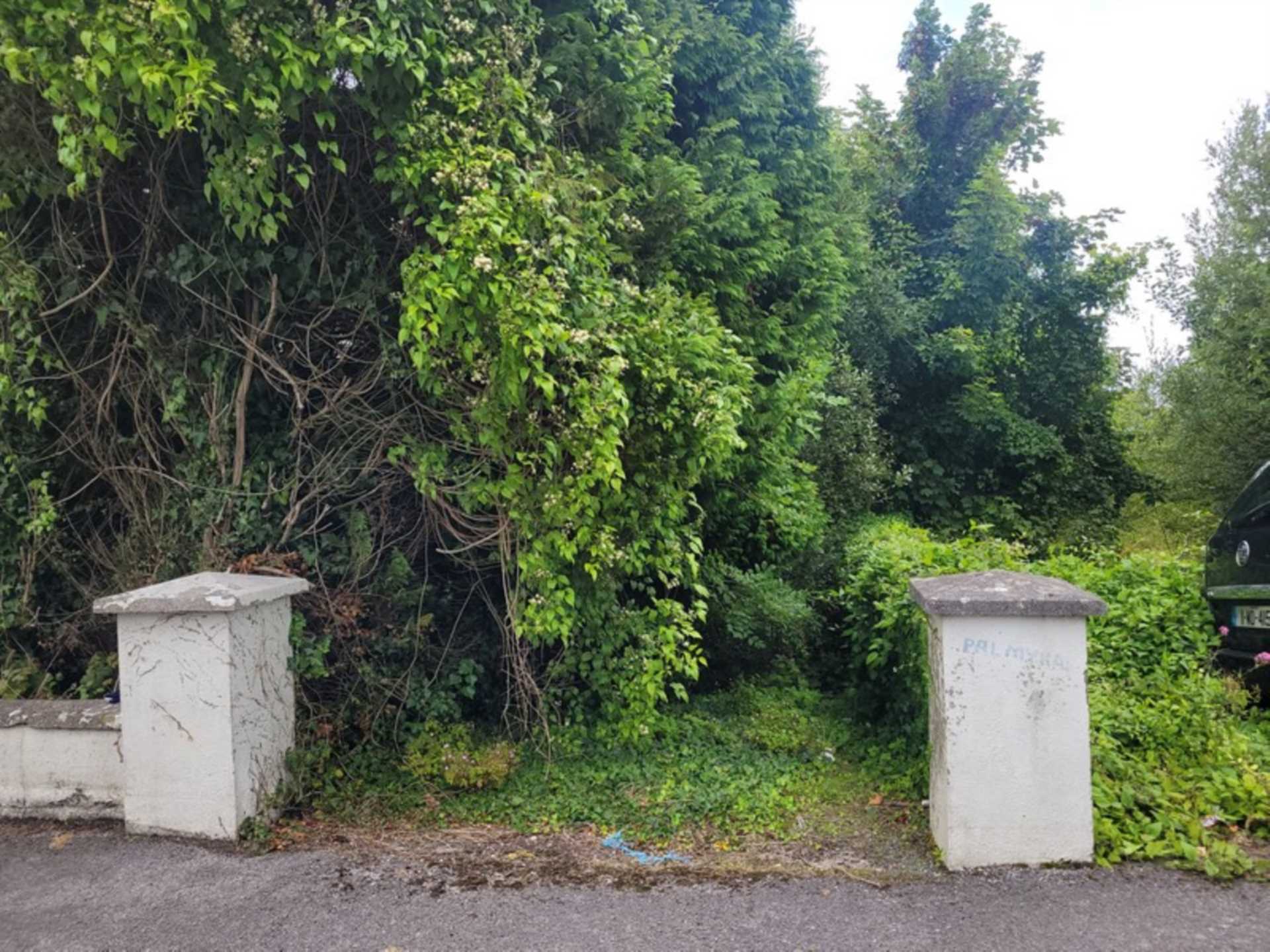 Palmyra, Knockroe, Castlerea, Co. Roscommon