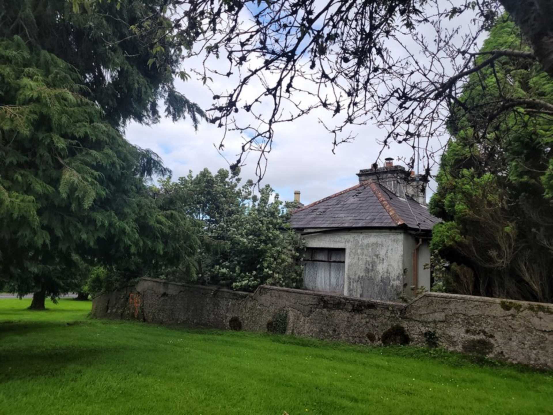 Palmyra, Knockroe, Castlerea, Co. Roscommon