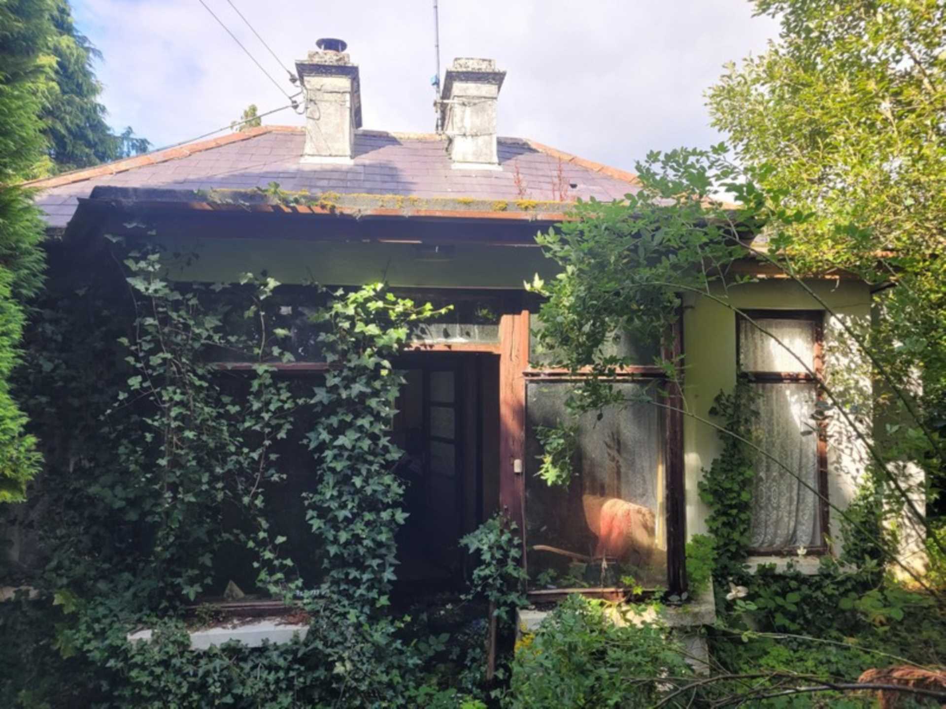 Palmyra, Knockroe, Castlerea, Co. Roscommon